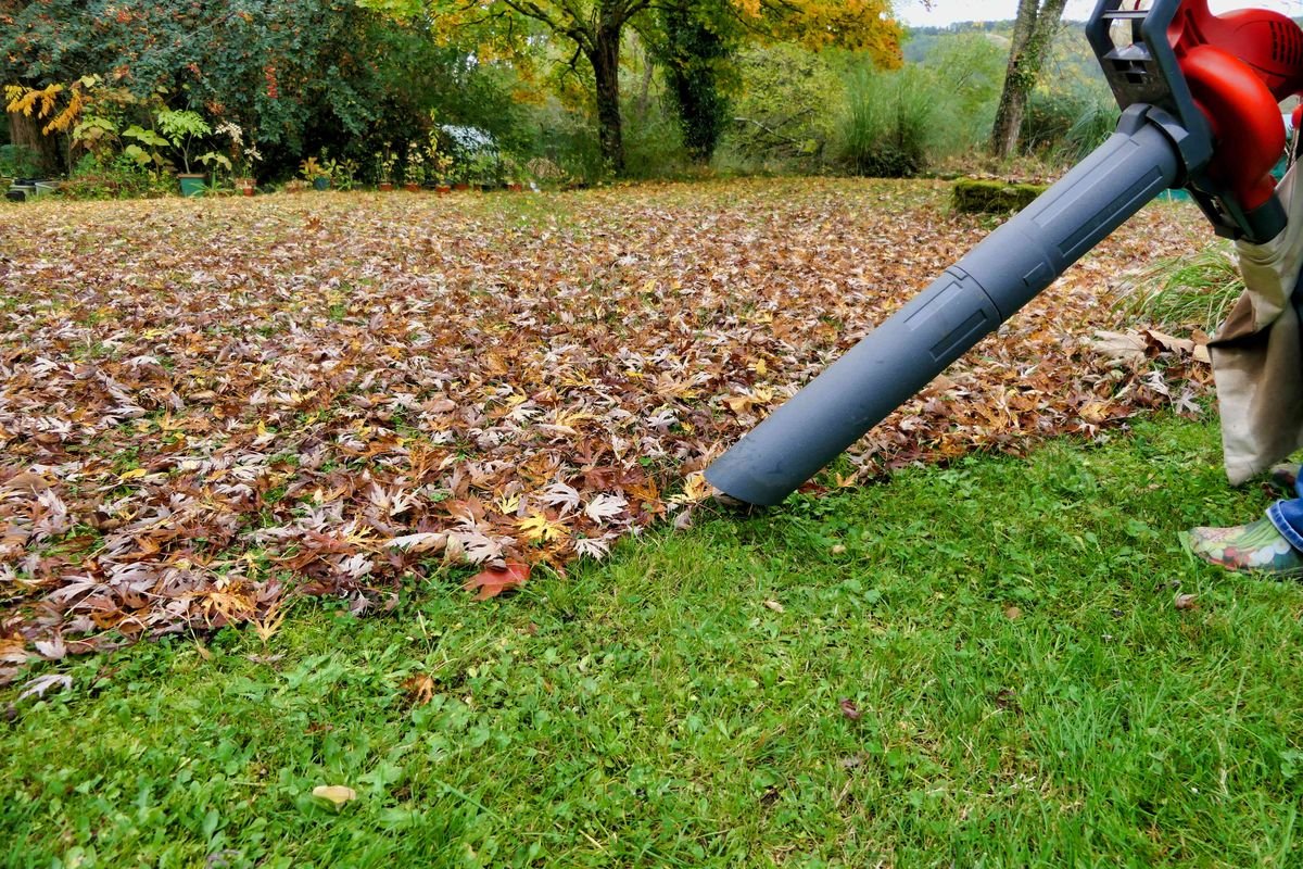 Leaf blowing and yard cleanup